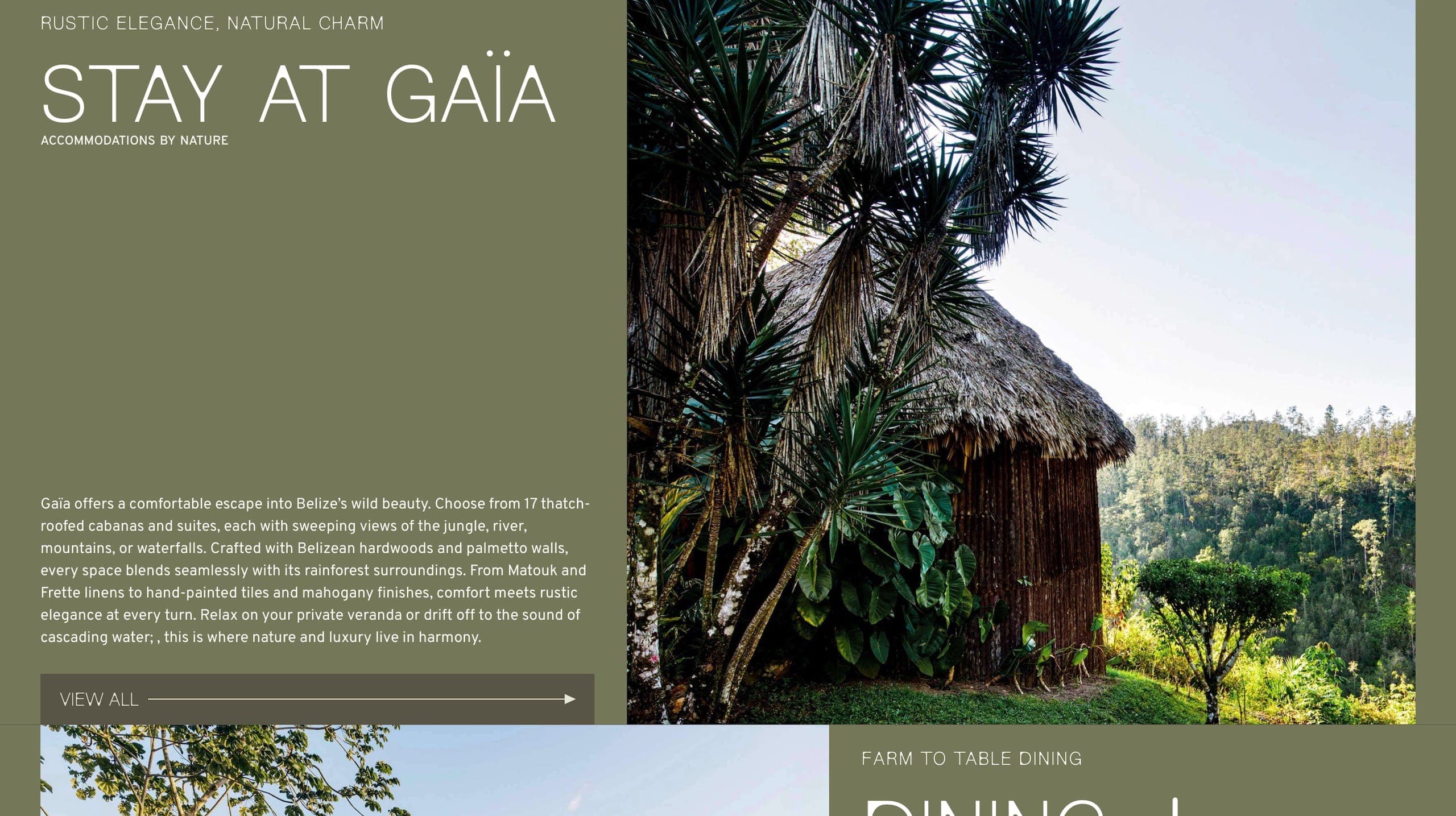 Gaia Info